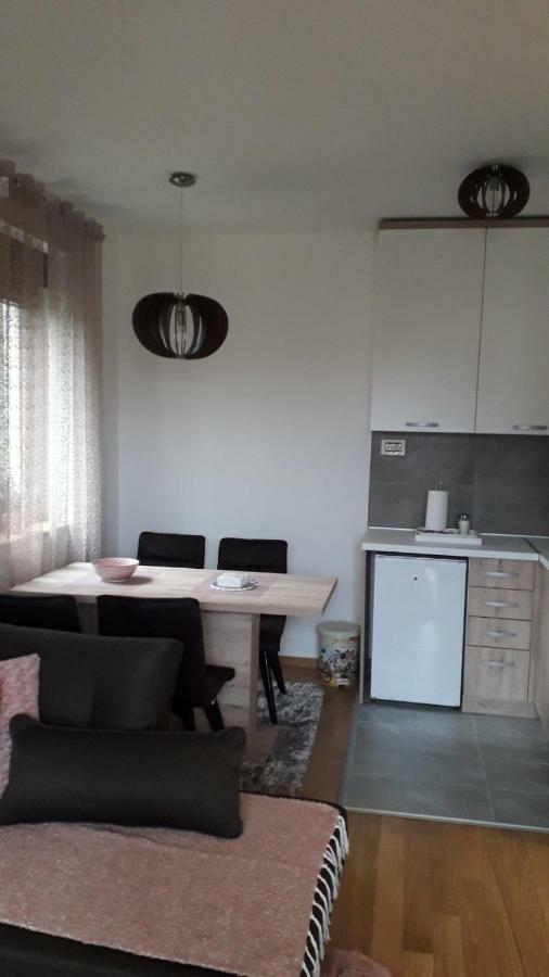 Apartman Nana Svetogorska 19 ,Stan 17 Zlatibor Exterior foto
