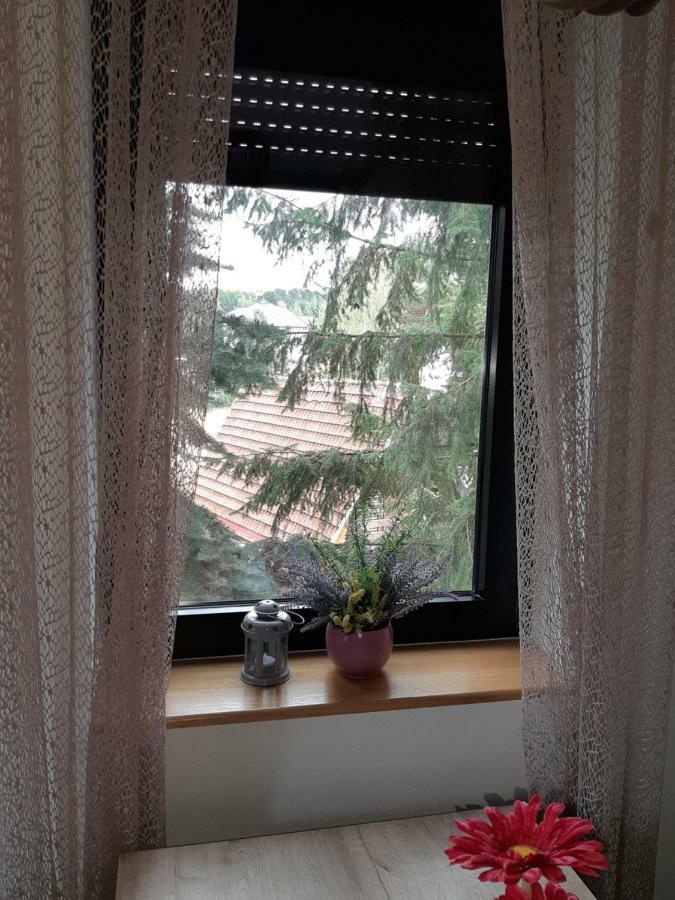 Apartman Nana Svetogorska 19 ,Stan 17 Zlatibor Exterior foto